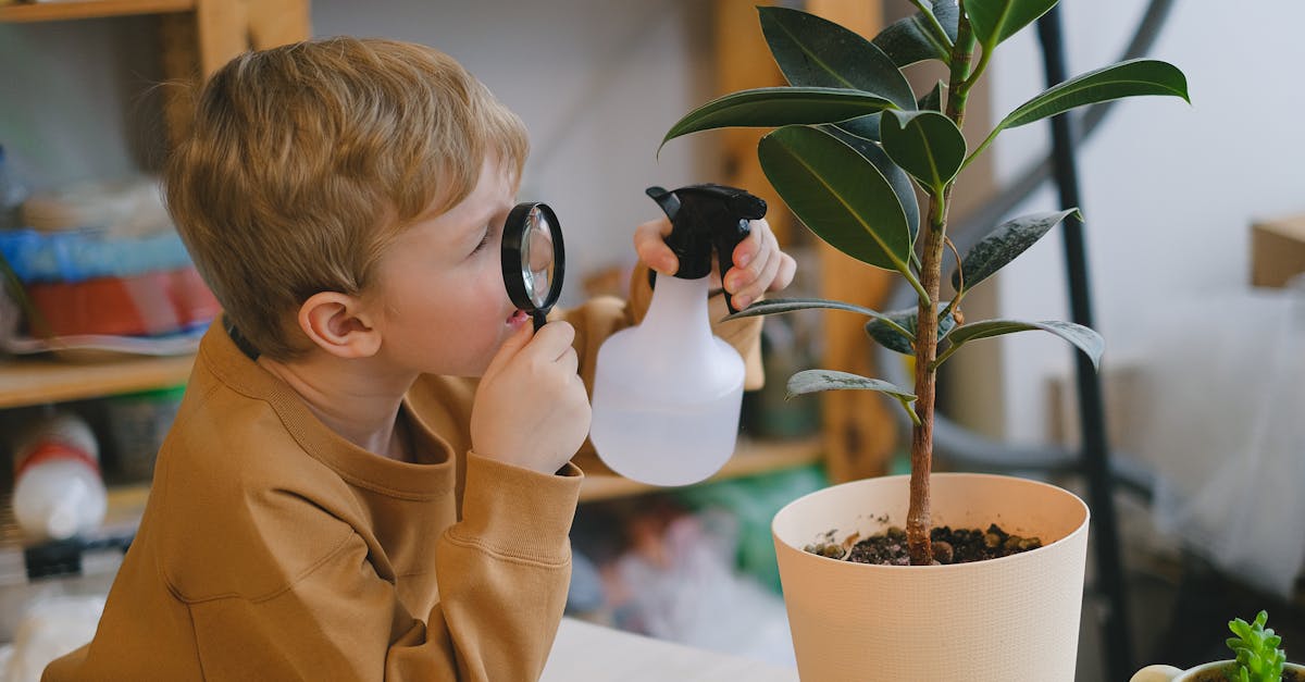 découvrez l'éducation écologique, une approche essentielle pour sensibiliser les jeunes générations à la protection de l'environnement. apprenez comment intégrer des pratiques durables dans votre quotidien et forger un avenir meilleur grâce à des connaissances sur la biodiversité et le développement durable.