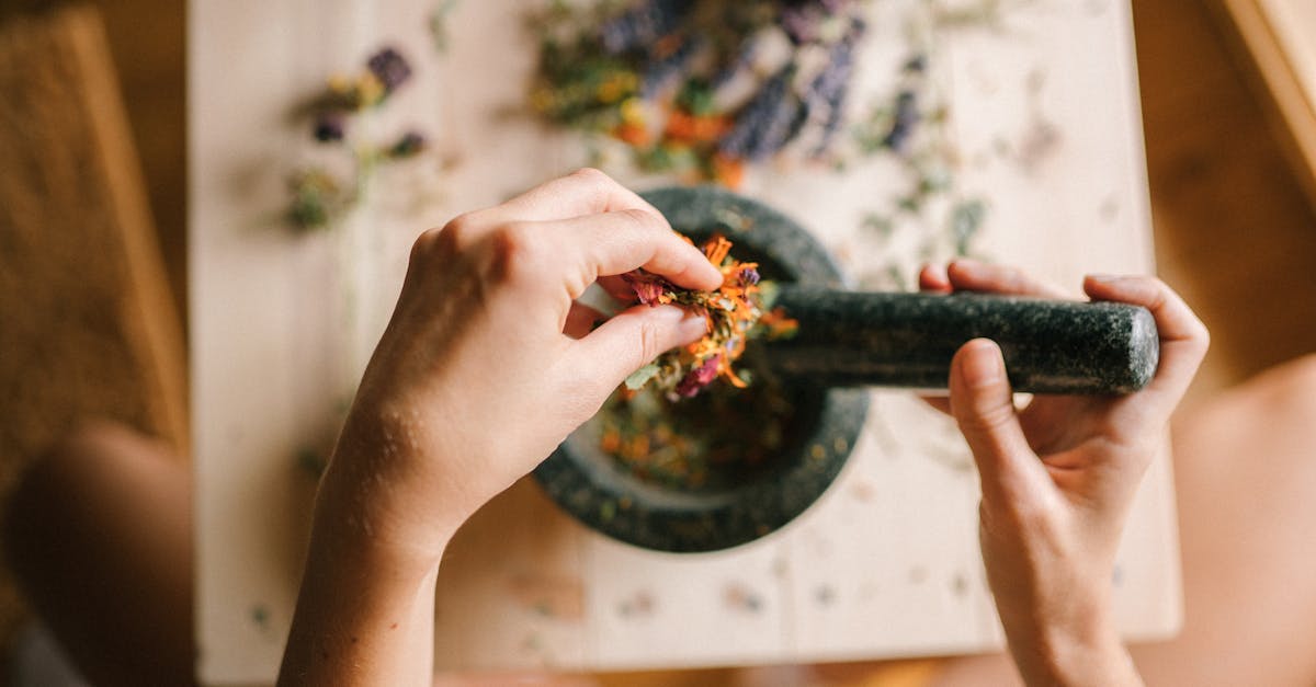 découvrez comment les traditions durables façonnent notre avenir, préservent notre patrimoine culturel et encouragent une vie respectueuse de l'environnement. explorez des pratiques ancestrales qui allient modernité et écologie.
