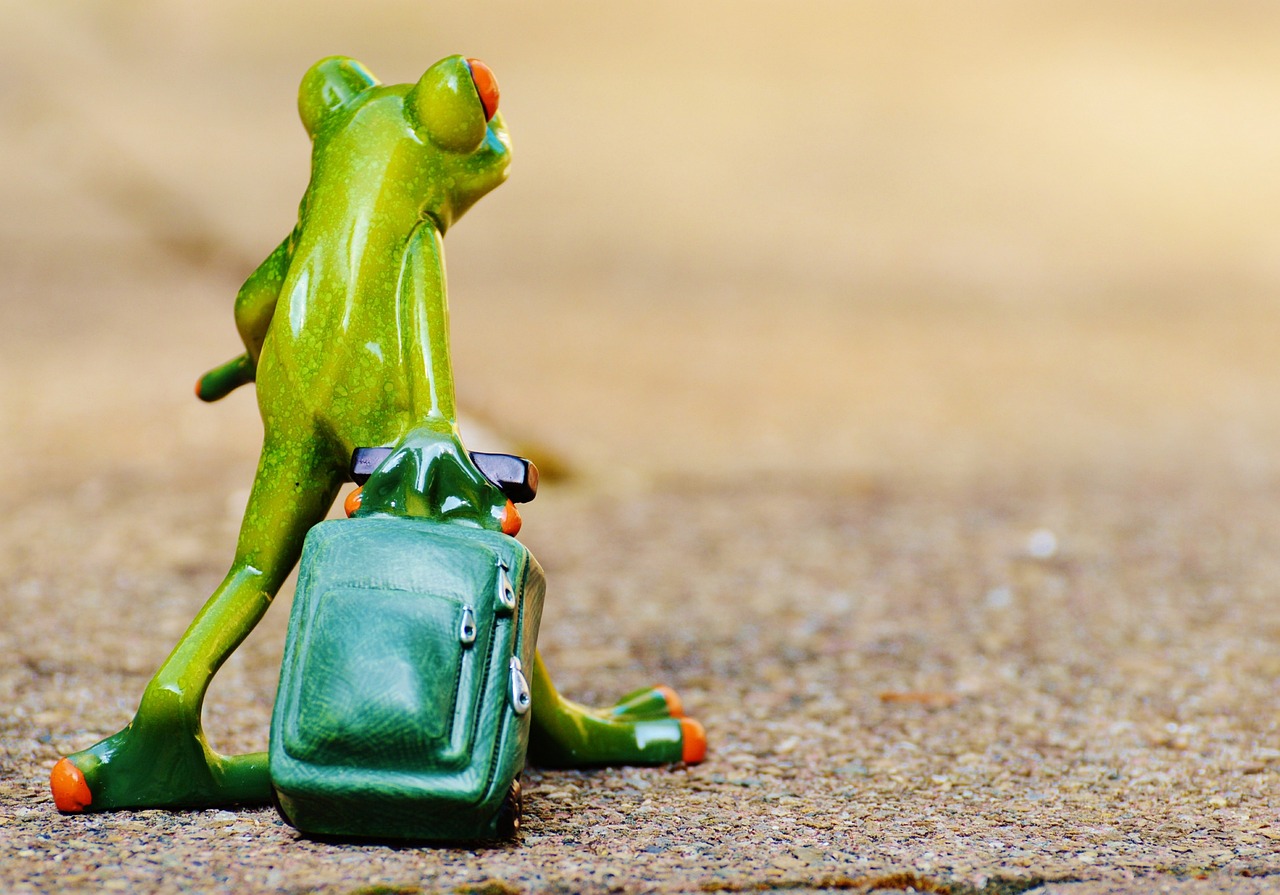 découvrez des conseils, astuces et destinations inspirantes pour vos prochains voyages. explorez le monde, trouvez des idées d’itinéraires et préparez vos aventures en toute sérénité.