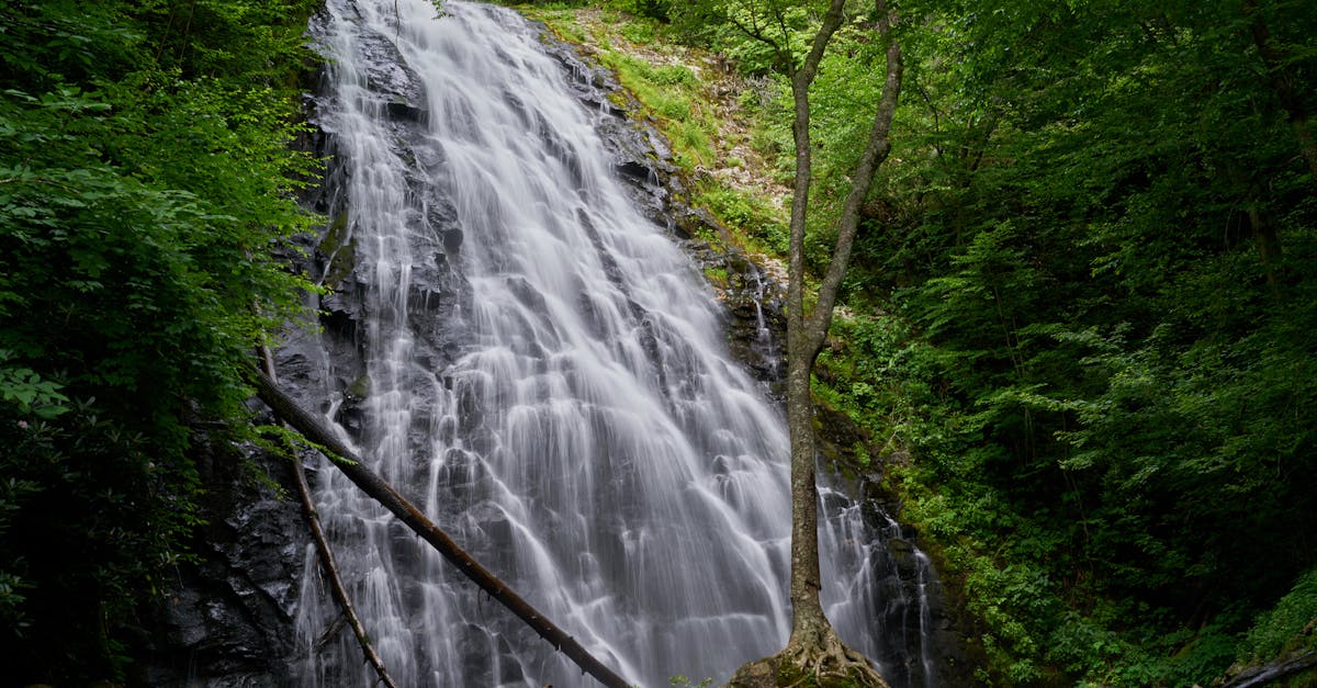 découvrez les bienfaits d'une immersion en pleine nature. éveillez vos sens, reconnectez-vous avec l'environnement et laissez-vous apaiser par les paysages enchanteurs. une expérience unique pour revitaliser votre esprit et votre corps.