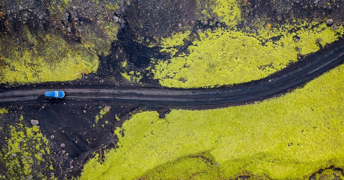 découvrez les green routes : des itinéraires écologiques et durables qui vous permettent d'explorer la nature tout en respectant l'environnement. partez à l'aventure sur des chemins préservés et vivez une expérience unique au cœur de la biodiversité.