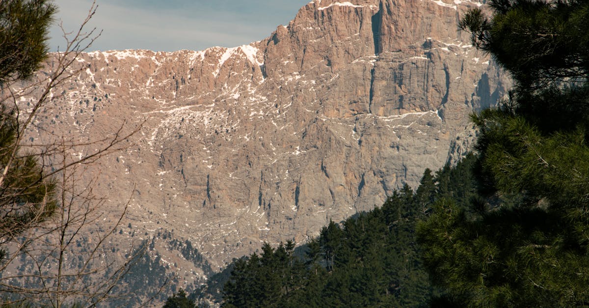 découvrez l'écotourisme, une aventure responsable qui allie exploration de la nature et respect de l'environnement. plongez dans des destinations authentiques tout en préservant les écosystèmes et en soutenant les communautés locales.