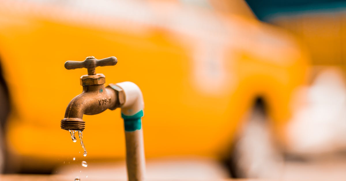découvrez l'écologie urbaine, une discipline qui étudie les interactions entre les êtres vivants et leur environnement dans les milieux urbains. apprenez comment les villes peuvent devenir plus durables et favorables à la biodiversité, tout en améliorant la qualité de vie de leurs habitants.