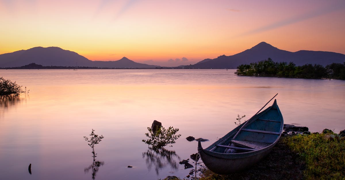 découvrez des aventures en plein air passionnantes qui vous rapprochent de la nature. que ce soit la randonnée, le camping ou les sports extrêmes, explorez des destinations uniques et vivez des experiences inoubliables en harmonie avec l'environnement.