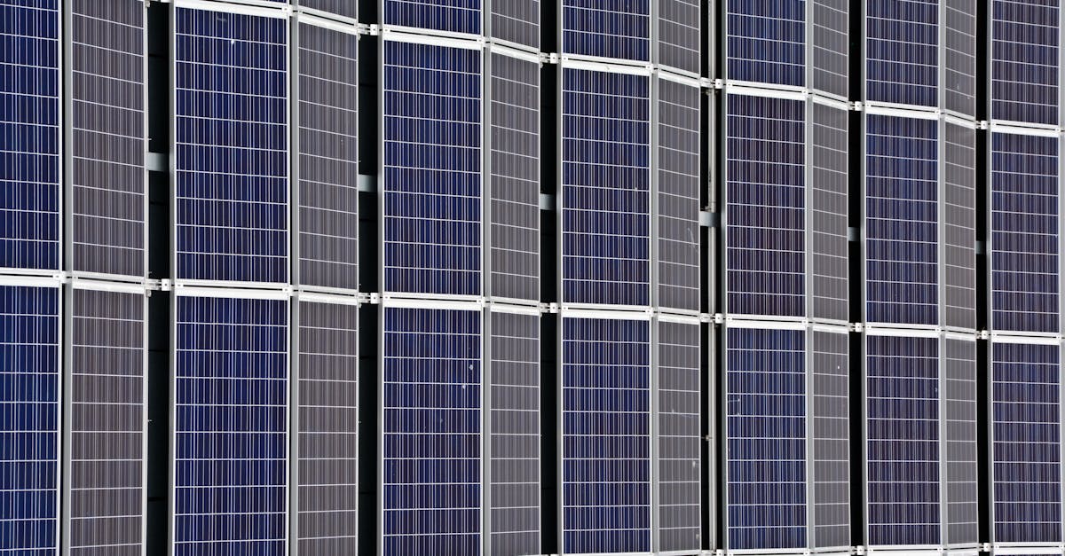 découvrez comment la durabilité peut transformer notre avenir. explorez des pratiques écologiques, des innovations responsables et des conseils pour vivre de manière durable au quotidien.