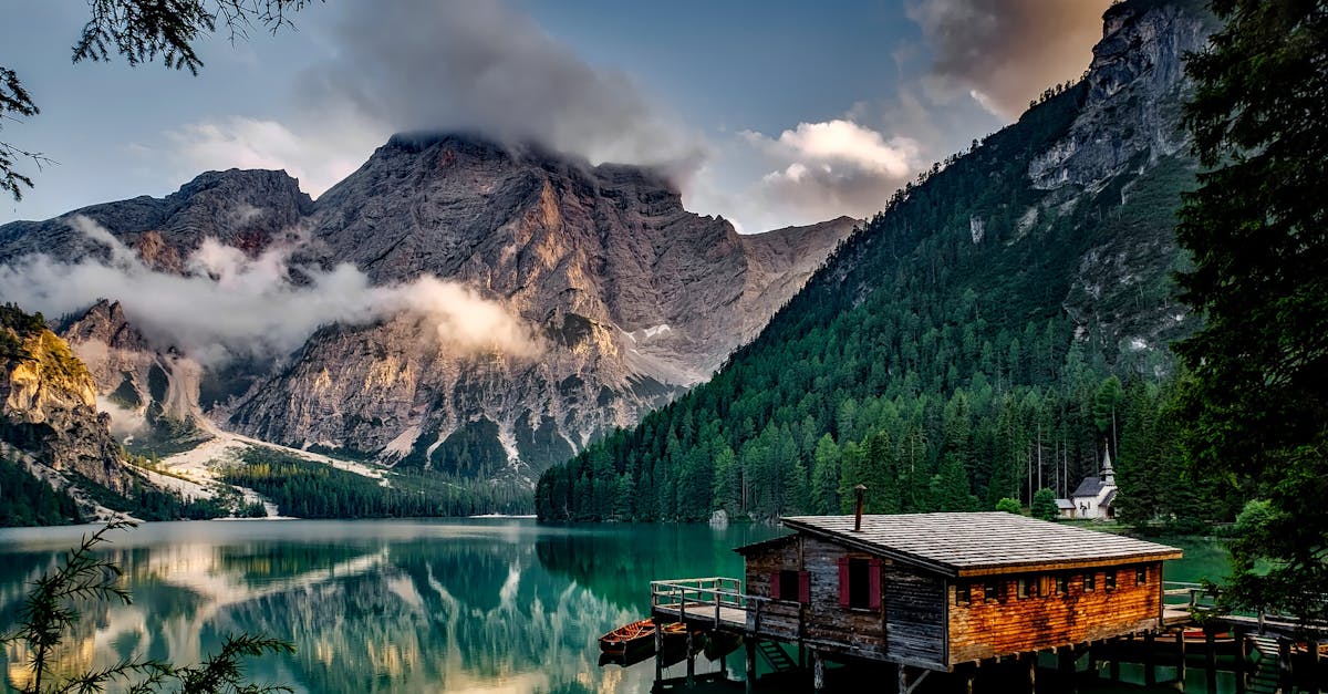 découvrez la beauté envoûtante de la nature à travers ses paysages époustouflants, sa faune et sa flore diversifiées. explorez des idées d'aventures en plein air, apprenez à préserver notre environnement et laissez-vous inspirer par la magie du monde naturel qui nous entoure.