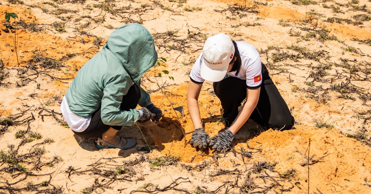 découvrez des initiatives écologiques innovantes qui contribuent à la protection de l'environnement et à la durabilité. explorez des projets inspirants, des pratiques durables et des actions communautaires visant à préserver notre planète pour les générations futures.