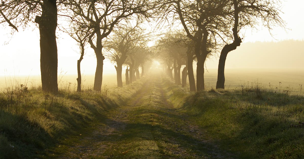 découvrez escape seasons, une expérience immersive où chaque saison vous transporte dans un monde d'énigmes et d'aventures palpitantes. parfait pour les amateurs de défis et de jeux en équipe, plongez dans des scénarios captivants qui stimulent votre créativité et votre esprit de déduction.