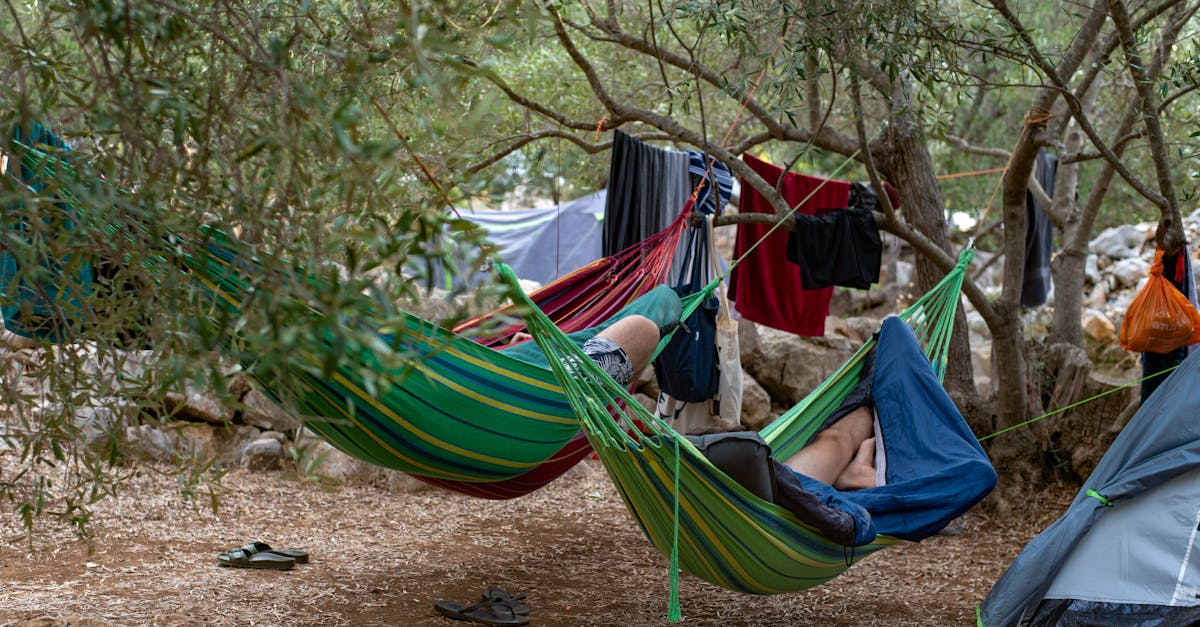 découvrez l'univers du tourisme durable : une approche éthique pour voyager en respectant l'environnement et les cultures locales. explorez des destinations responsables et apprenez comment vos choix de voyage peuvent contribuer à la préservation de notre planète.