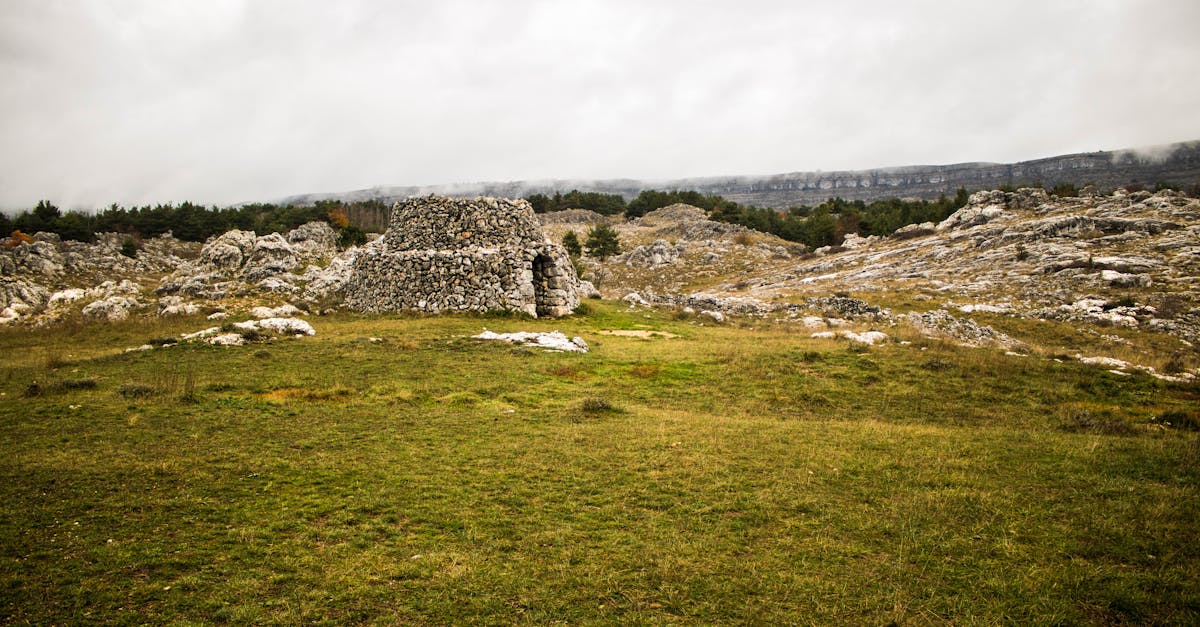 découvrez le tourisme rural, une expérience authentique qui vous plonge au cœur de la nature, des traditions et des cultures locales. explorez des paysages pittoresques, savourez des produits du terroir et profitez d'activités en plein air pour une escapade inoubliable loin du tumulte urbain.