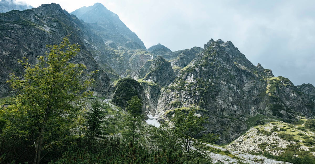 découvrez une collection immersive de paysages à couper le souffle, allant des montagnes majestueuses aux plages sereines. explorez la beauté de la nature à travers des images époustouflantes et inspirez-vous de la diversité des paysages du monde.