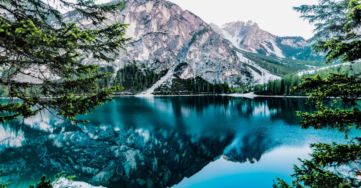 découvrez une sélection époustouflante de paysages, alliant beauté naturelle et inspiration visuelle. explorez des horizons variés, des montagnes majestueuses aux plages sereines, et laissez-vous transporter par la magie de notre planète.
