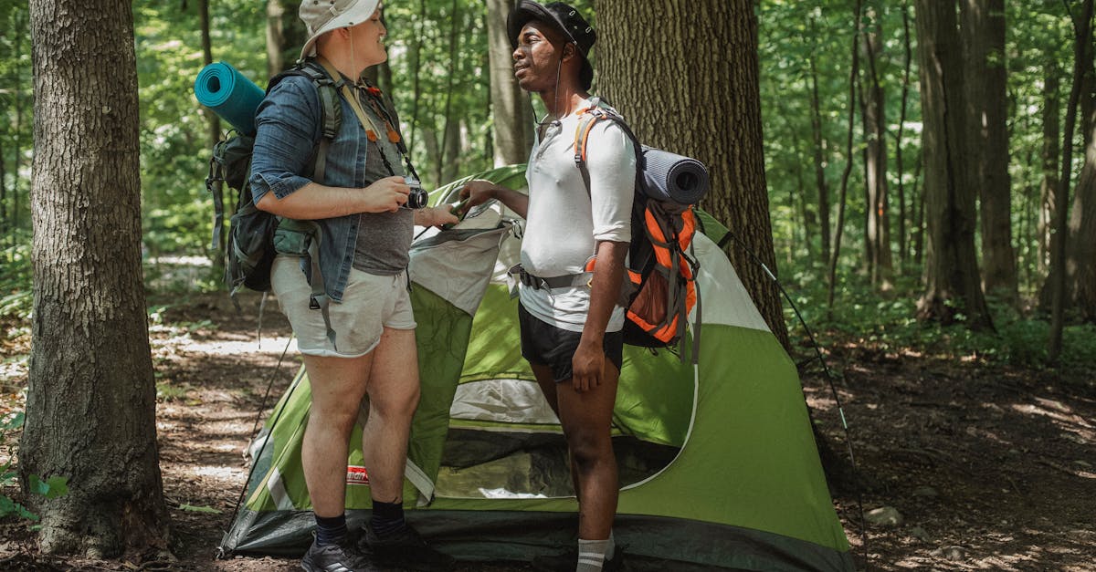 découvrez le tourisme durable : explorez des destinations tout en respectant l'environnement et en soutenant les communautés locales. engagez-vous pour un voyage responsable qui préserve notre planète.