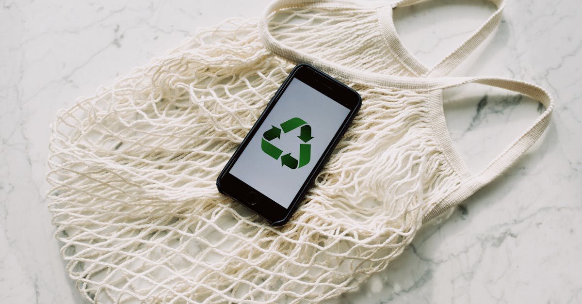 découvrez les principes d'un mode de vie durable et apprenez à réduire votre empreinte écologique grâce à des astuces pratiques pour un quotidien plus respectueux de l'environnement.
