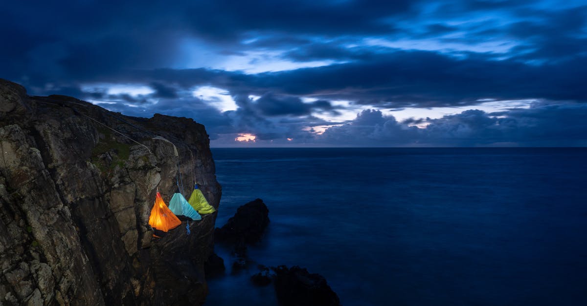 plongez au cœur de la nature avec notre expérience immersive. explorez des paysages à couper le souffle, découvrez la faune et la flore uniques, et reconnectez-vous avec l'environnement dans un cadre apaisant et revitalisant.
