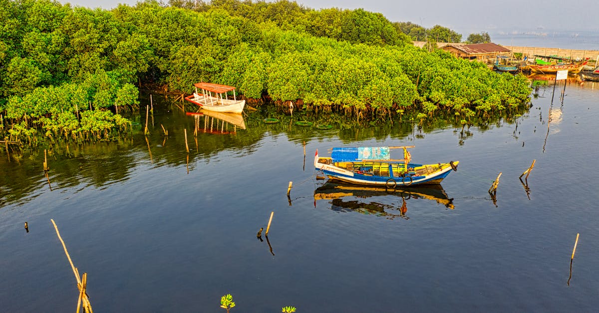 découvrez l'univers du tourisme durable : des voyages qui respectent l'environnement, favorisent les cultures locales et soutiennent les économies communautaires. explorez des destinations écoresponsables tout en préservant la beauté de notre planète.