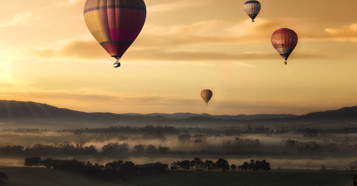 découvrez un monde d'aventures palpitantes où chaque instant est une nouvelle exploration. rejoignez-nous pour des récits captivants, des destinations incroyables et des expériences inoubliables qui éveilleront votre esprit d'aventurier.