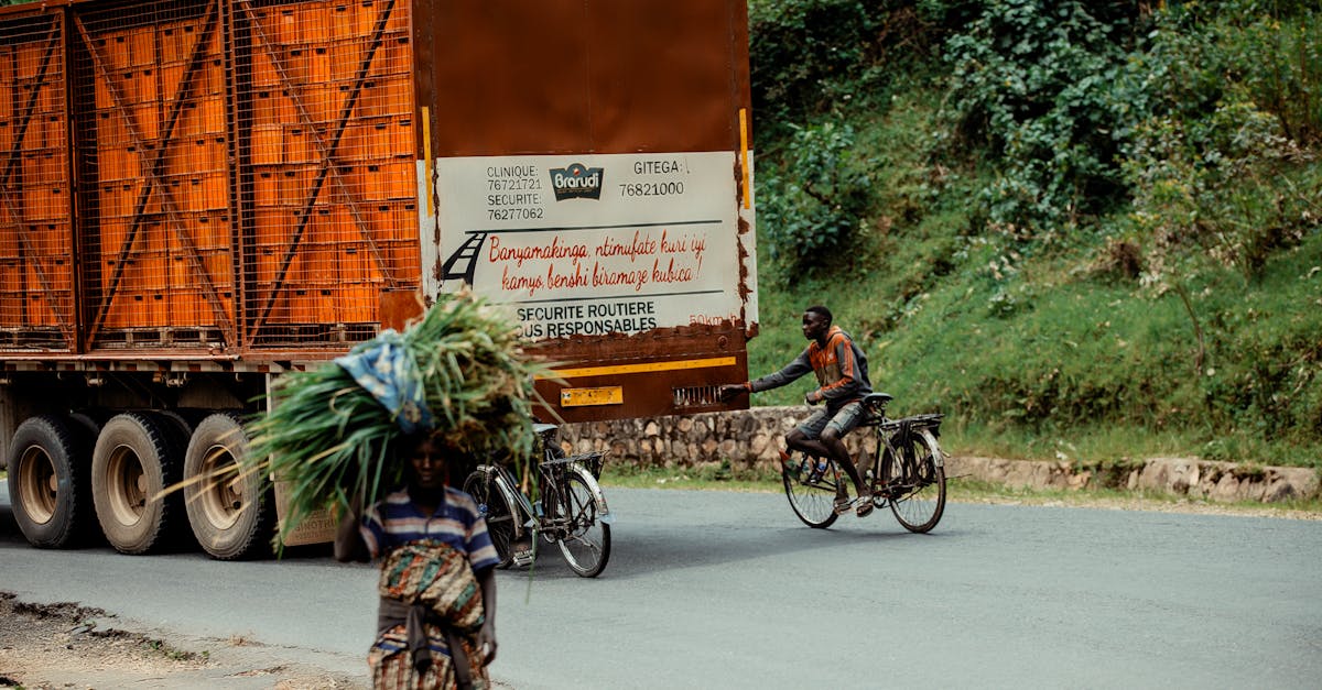 découvrez les charmes du voyage rural : explorez des paysages pittoresques, savourez des spécialités locales et vivez des expériences authentiques au cœur de la nature. évadez-vous du quotidien et reconnectez-vous avec l'essentiel à travers des destinations paisibles et inspirantes.