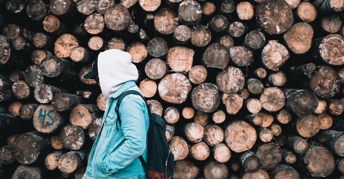 découvrez l'art du trekking durable avec notre guide sur le backpacking responsable. apprenez à choisir l'équipement éco-responsable, à minimiser votre impact sur l'environnement et à respecter les espaces naturels tout en profitant de l'aventure en plein air.