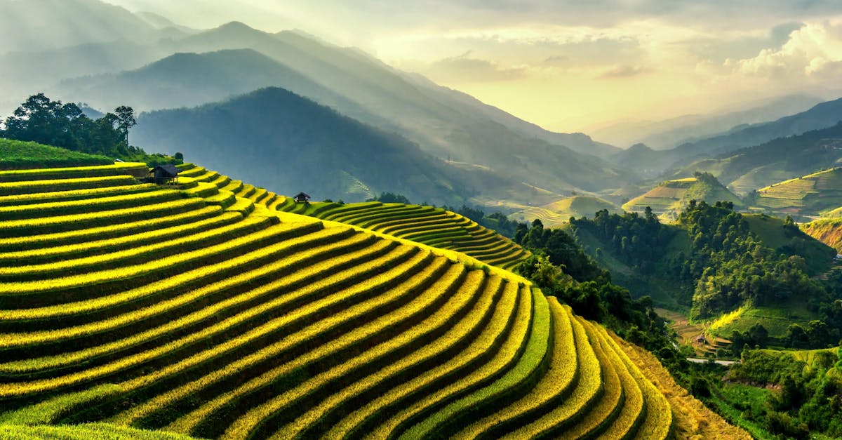 découvrez l'éco-tourisme : une approche responsable et durable des voyages qui préserve la nature tout en enrichissant votre expérience. explorez des destinations authentiques, contribuez à la protection de l'environnement et vivez des aventures inoubliables en harmonie avec la planète.