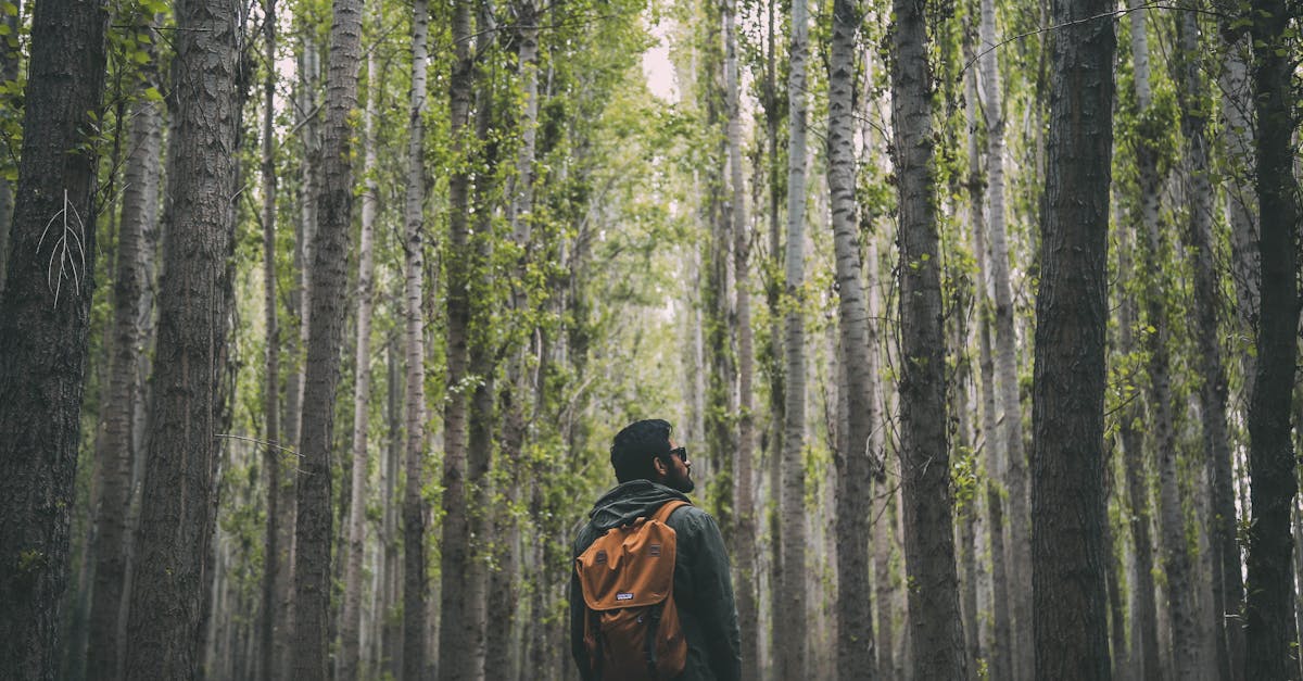 découvrez des histoires captivantes et des expériences palpitantes à travers le monde de l'aventure. plongez dans des récits inspirants et des conseils pratiques pour vos propres explorations, que ce soit en milieu naturel ou urbain.