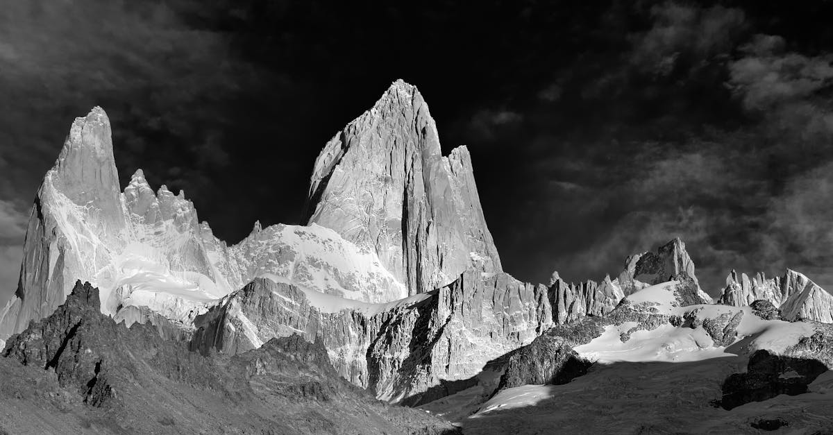 découvrez le monde fascinant de l'exploration naturelle, où la beauté des paysages, la diversité de la faune et la richesse des écosystèmes s'unissent pour vous offrir des expériences inoubliables. plongez dans l'aventure et reconnectez-vous avec la nature.