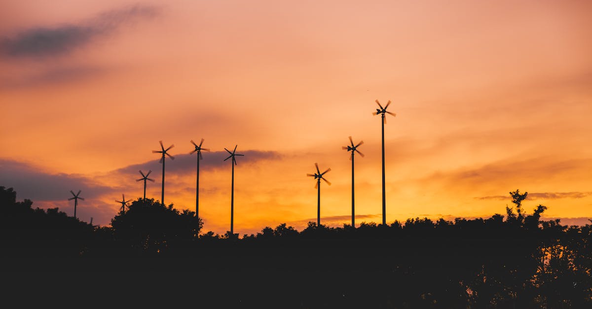 découvrez comment l'innovation durable transforme nos pratiques et stimule la croissance tout en préservant l'environnement. explorez des solutions novatrices qui allient performance économique et responsabilité sociale.