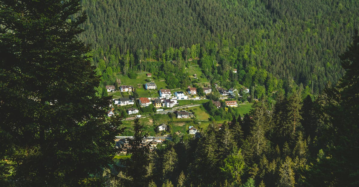 découvrez des destinations hors des sentiers battus qui vous promettent une aventure unique et authentique. explorez des lieux méconnus, enrichissez-vous de nouvelles cultures et vivez des expériences inoubliables loin de la foule.