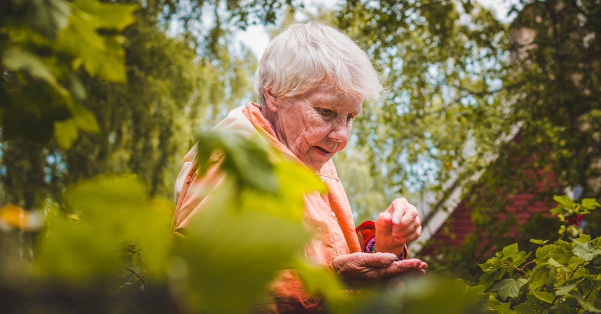 découvrez l'harmonie et la beauté des jardins naturels. plantez des fleurs sauvages, créez un écosystème durable et laissez la nature s'épanouir dans votre espace extérieur. transformez votre jardin en un refuge biodiverse et respectueux de l'environnement.