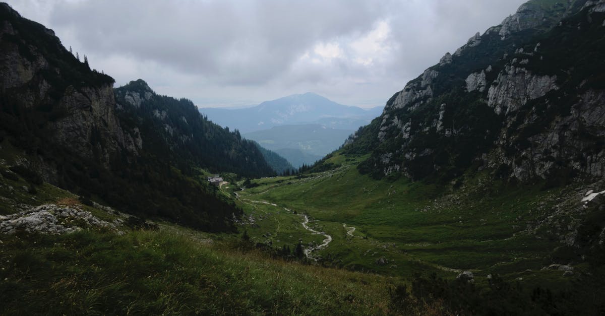 découvrez l'écotourisme, une forme de voyage qui allie aventures en pleine nature et respect de l'environnement. explorez des destinations durables tout en soutenant les communautés locales et en préservant les écosystèmes. transformez vos vacances en une expérience enrichissante et responsable.