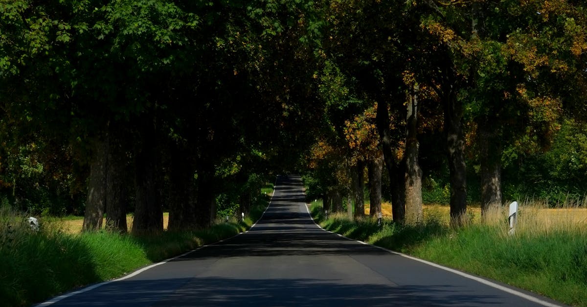 découvrez le voyage durable : une approche écoresponsable pour explorer le monde tout en préservant l'environnement. apprenez des astuces et conseils pour des séjours qui respectent la nature et les cultures locales.