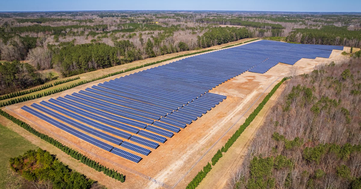 découvrez les enjeux et les pratiques du développement durable, une approche essentielle pour préserver notre planète et garantir un avenir responsable à travers des actions écologiques et sociales.