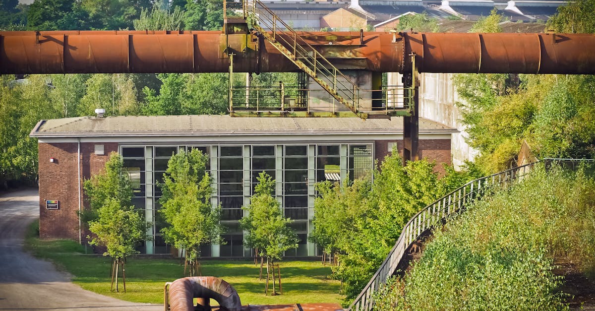 découvrez comment concevoir un paysage urbain durable qui favorise l'harmonie entre la nature et l'urbanisme. explorez des solutions innovantes pour un environnement urbain respectueux de l'environnement et axé sur le bien-être des communautés.