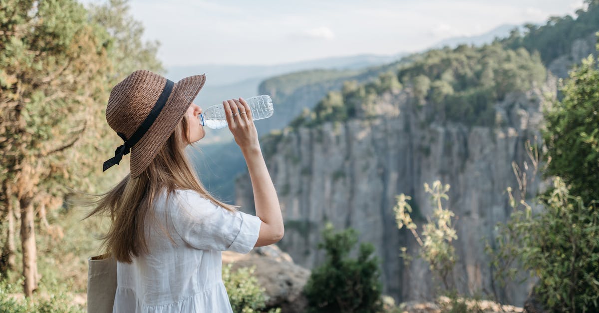 découvrez le voyage durable, une approche écoresponsable qui préserve notre planète tout en explorant de nouvelles destinations. apprenez des conseils pratiques pour réduire votre empreinte carbone et favoriser le tourisme local tout en vivant des expériences authentiques et mémorables.