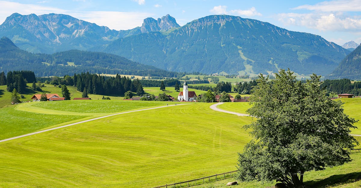 découvrez le monde fascinant de l'éco-tourisme, un moyen responsable de voyager tout en préservant l'environnement. explorez des destinations durables, vivez des expériences authentiques et participez à la protection de la nature tout en profitant de vos vacances.