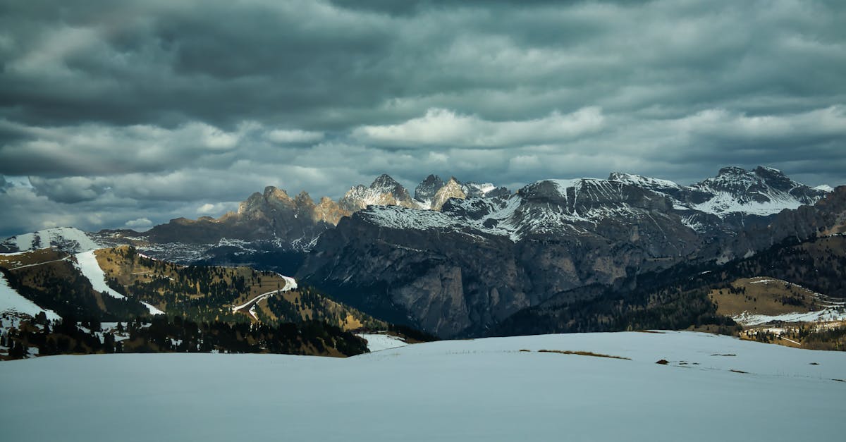 découvrez l'écotourisme, une approche de voyage durable qui favorise la préservation de l'environnement tout en soutenant les communautés locales. explorez des destinations naturelles authentiques et engagez-vous dans des activités respectueuses de la planète.