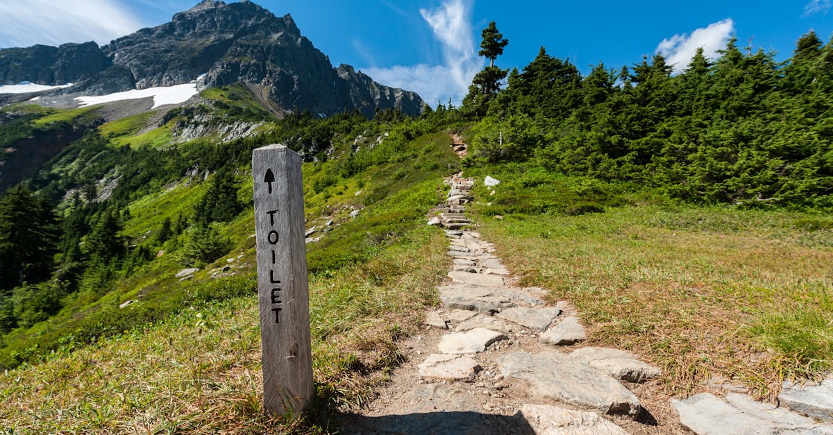 découvrez comment voyager de manière responsable et durable avec nos conseils pratiques et astuces pour réduire votre empreinte écologique tout en explorant le monde. préparez-vous à vivre des expériences enrichissantes tout en préservant notre planète.