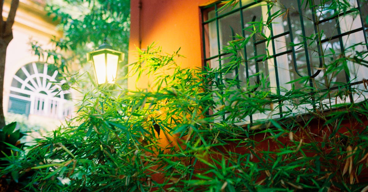 découvrez comment les paysages urbains durables transforment nos villes en espaces écologiques et vivables. explorez des solutions innovantes pour allier urbanisme et respect de l'environnement.