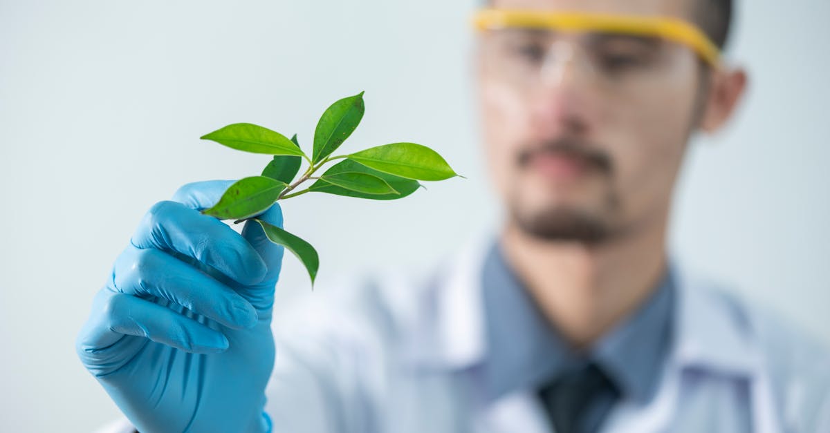 découvrez des produits éco-responsables qui respectent l'environnement tout en répondant à vos besoins quotidiens. optez pour des solutions durables et faites un geste pour la planète avec notre sélection d'articles éco-friendly.