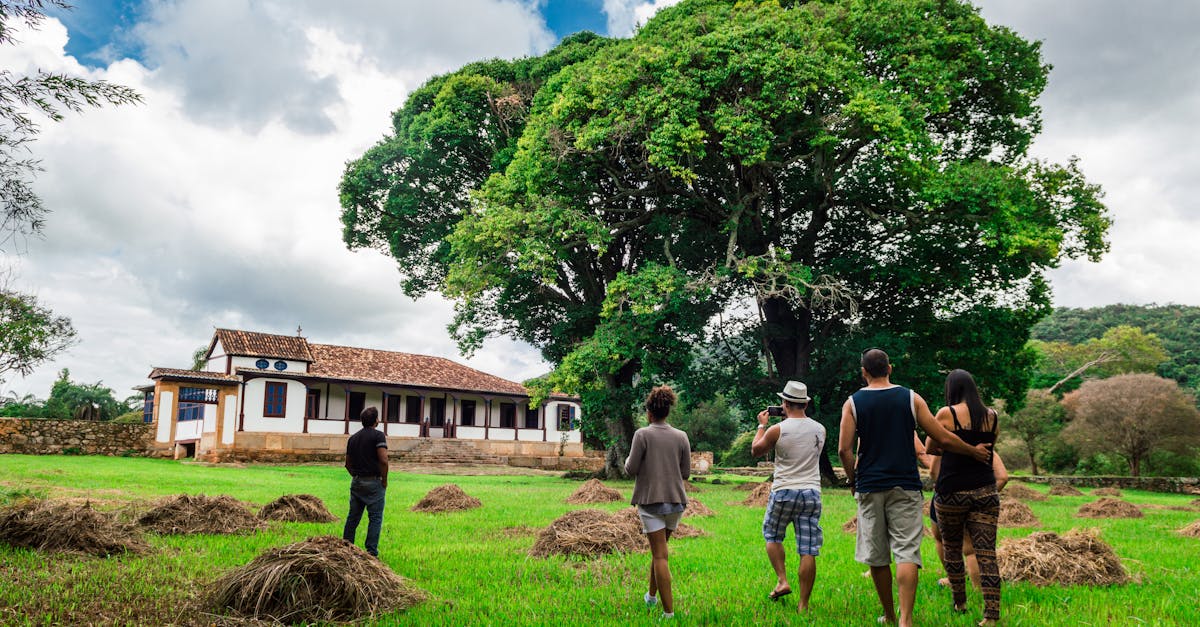 découvrez le tourisme rural, une expérience authentique qui vous plonge au cœur des paysages pittoresques et des traditions locales. profitez d'activités en plein air, de séjours chez l'habitant et d'une gastronomie savoureuse, tout en vous reconnectant à la nature.