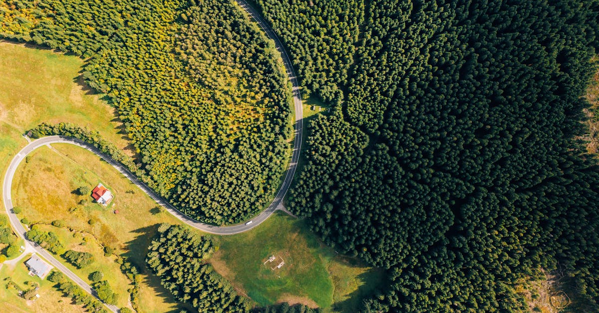 découvrez le voyage durable : explorez des destinations éco-responsables, adoptez des pratiques respectueuses de l'environnement et contribuez à la préservation des écosystèmes tout en profitant d'expériences uniques.