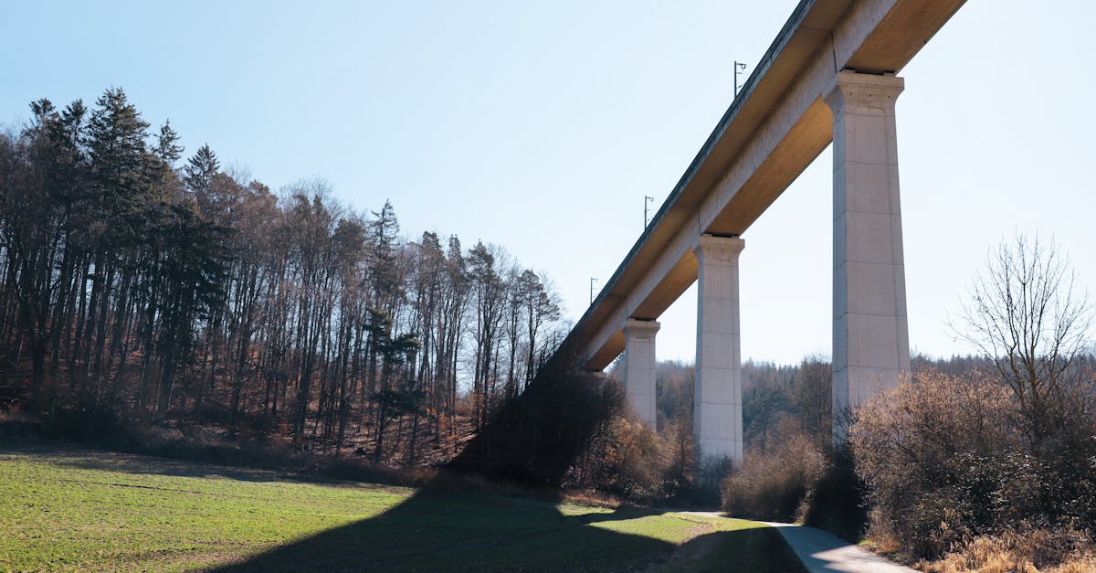 découvrez des voies alternatives pour optimiser vos trajets. explorez des options innovantes et évitez les embouteillages, tout en profitant de paysages pittoresques. choisissez la meilleure alternative qui répond à vos besoins !