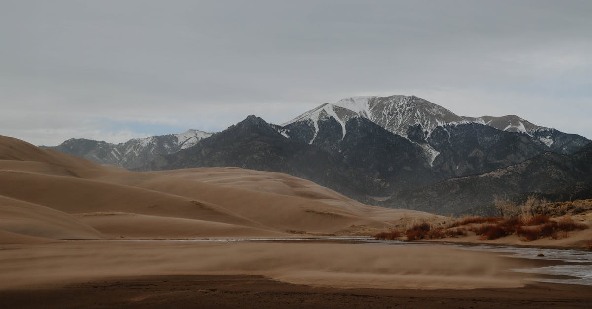découvrez des destinations insolites et hors des sentiers battus pour une aventure authentique. explorez des lieux méconnus, éloignés des foules, où chaque rencontre raconte une histoire unique. s'évader du quotidien n'a jamais été aussi enrichissant.