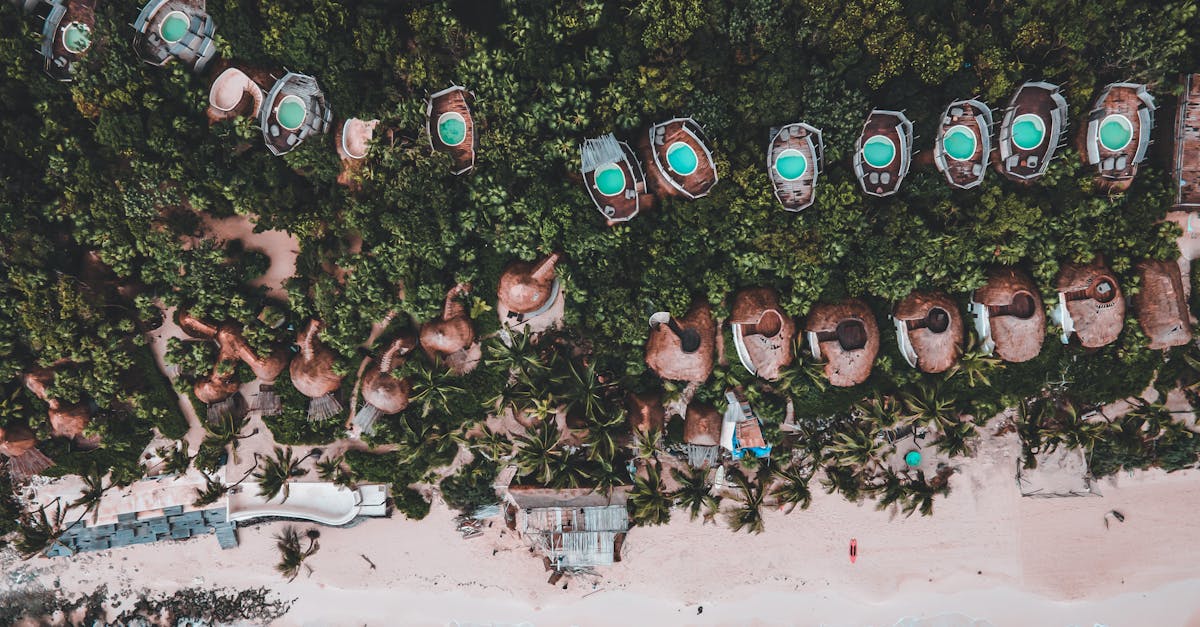 découvrez le tourisme durable : une approche respectueuse de l'environnement qui permet d'explorer les destinations tout en préservant la planète pour les générations futures. engagez-vous à voyager de manière responsable et à soutenir les communautés locales.