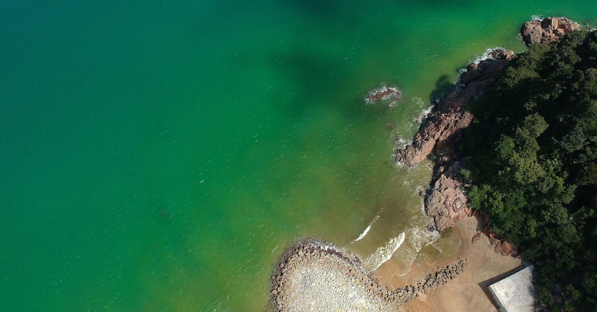 découvrez des conseils et des pratiques pour un voyage durable. explorez des destinations respectueuses de l'environnement, apprenez à réduire votre empreinte carbone et à soutenir les communautés locales tout en profitant d'expériences inoubliables à travers le monde.