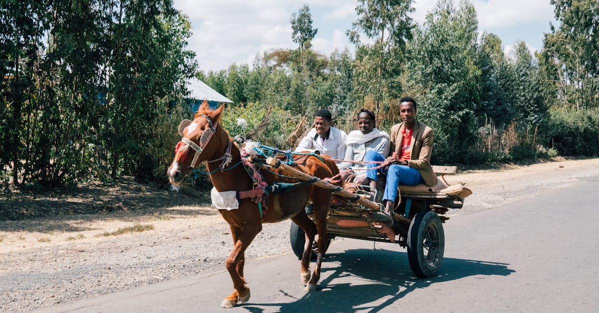 découvrez le voyage durable : explorez des destinations respectueuses de l'environnement, adoptez des pratiques écoresponsables et vivez des expériences enrichissantes tout en préservant notre planète. voyagez intelligemment et agissez pour un avenir meilleur.
