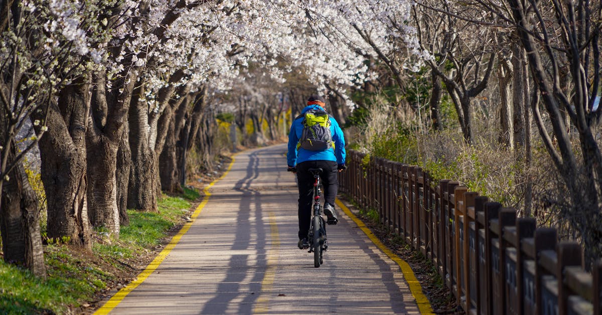 découvrez notre guide de voyage à vélo : conseils pratiques, itinéraires, équipements essentiels et astuces pour explorer le monde à deux roues en toute sérénité.
