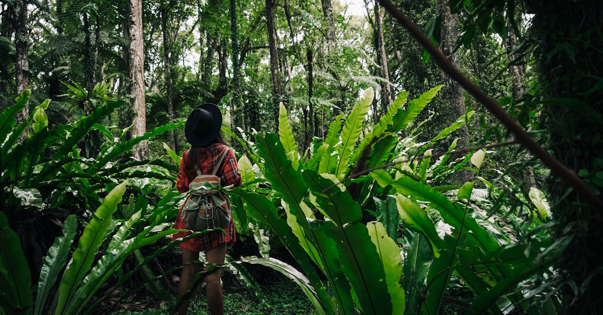 découvrez le voyage conscient, une approche durable et réfléchie du tourisme qui respecte les cultures locales, minimise l'impact environnemental et favorise des expériences authentiques. explorez le monde tout en faisant la différence.