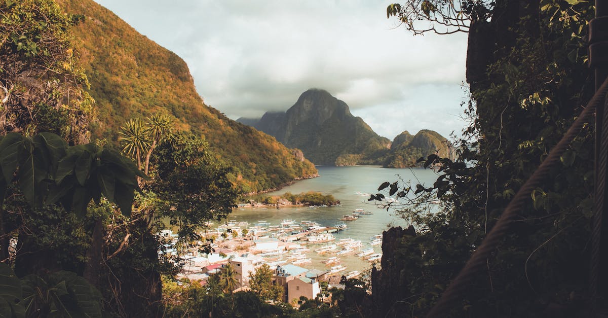 découvrez le tourisme durable : une approche éco-responsable pour explorer le monde tout en préservant la nature et en respectant les cultures locales. engagez-vous pour un voyage qui profite aux générations futures !