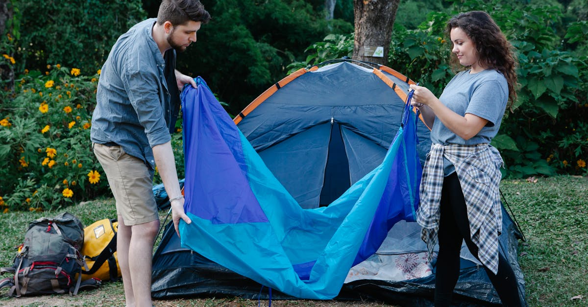 découvrez comment voyager de manière durable en préservant l'environnement tout en explorant de nouvelles cultures. apprenez des astuces et des conseils pour minimiser votre empreinte carbone et soutenir les communautés locales lors de vos prochaines aventures.